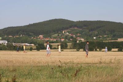 IMG 5978